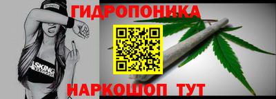 Альфа ПВП Аргун