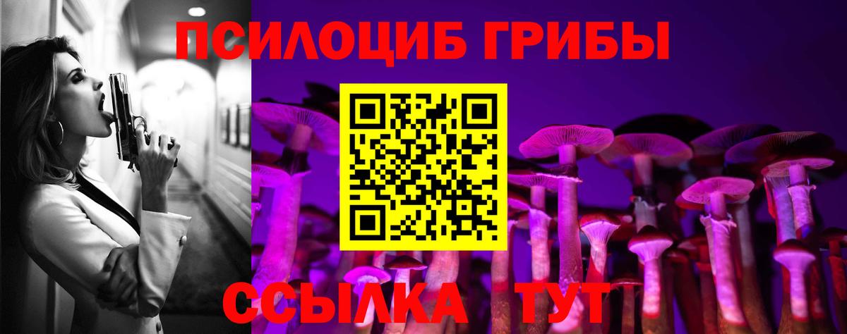 наркота  Галлюциногенные грибы Psilocybe  Вход с VPN  Артёмовский 